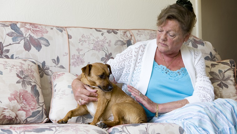 A senior woman in an unhappy state of mind seeks solace in her pet.