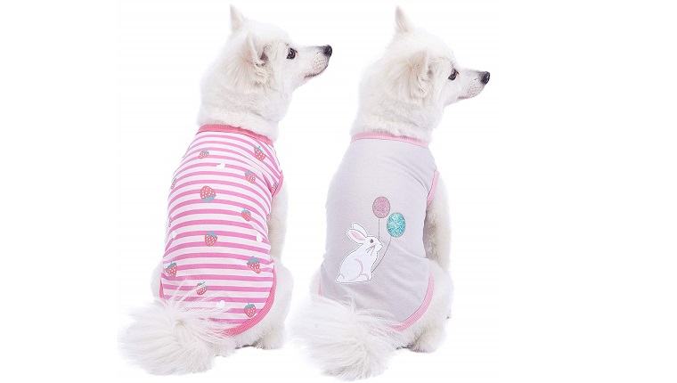 dog easter shirts