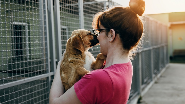 Young woman adopting dog from a shelter.