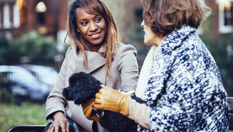 Young woman and senior woman with a dog on bench in a park. They are talking and having fun.