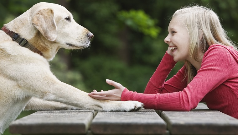 Dog sitting across from girl on picnic table