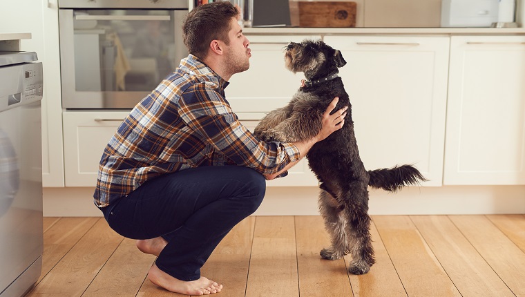 Shot of a man playing with his dog at home