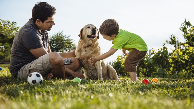 Happy kid and father with dog enjoy perfect sunny day on grass in garden near the house.