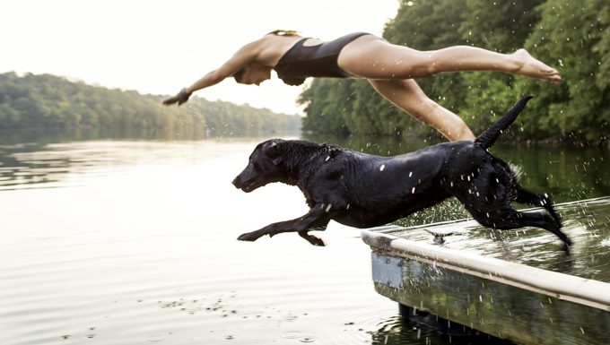 woman and dog dive off pier