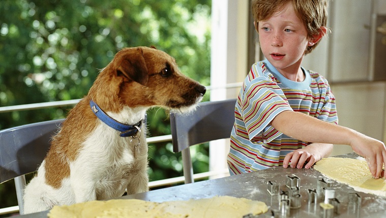 Boy (4-6) cutting out biscuit shapes next to dog sitting up at counter