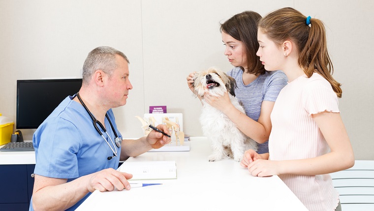 Mother and daughter concerned about health of their dog, consulting by veterinarian