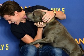 Tom Holland and a dog named Tessa attending the Spider-Man: Homecoming Photocall held at the Ham Yard Hotel, London. (Photo by Ian West/PA Images via Getty Images)