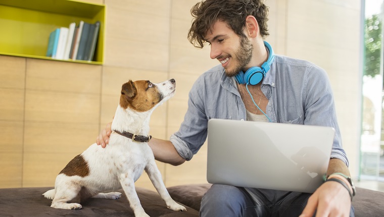 Man petting dog in office