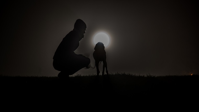 Man Crouching By Dog On Field At Night