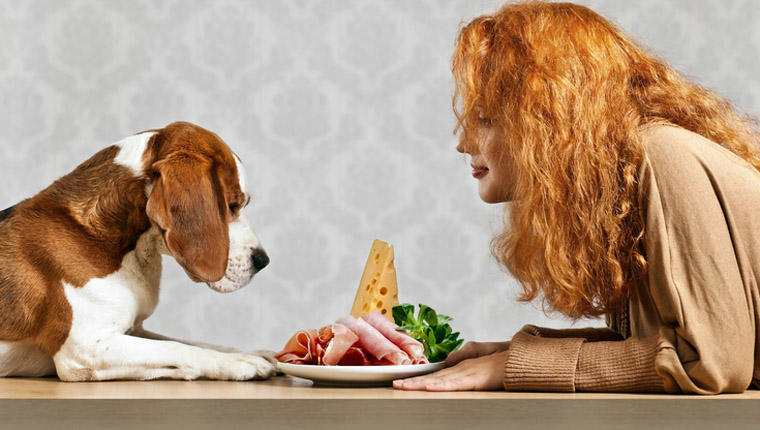 Dog presented with ham by young woman