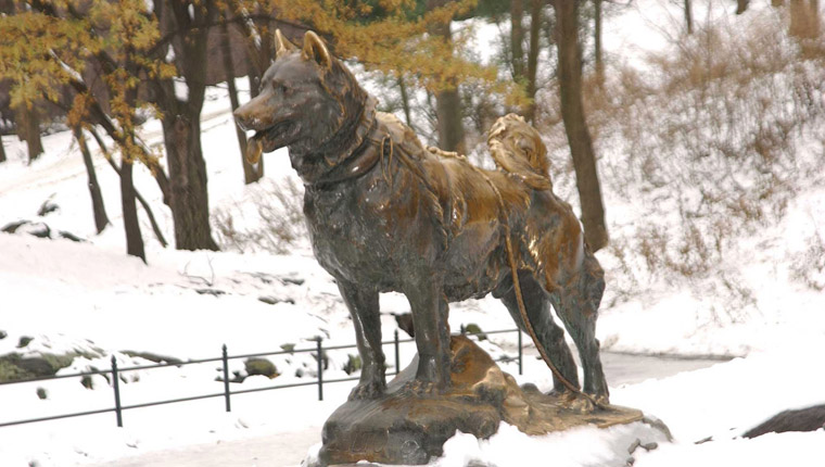 Balto Memorial Central Park