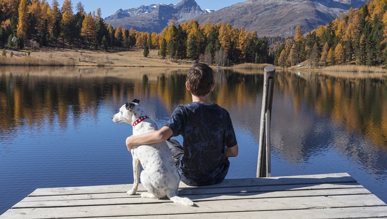 A child and a dog are looking at Lake Staz in Switzerland. 