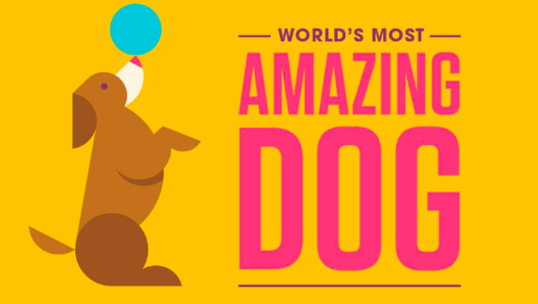 World's Most Amazing Dog Competition