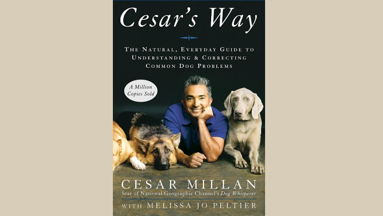 Cesar's Way: The Natural, Everyday Guide to Understanding and Correcting Common Dog Problems