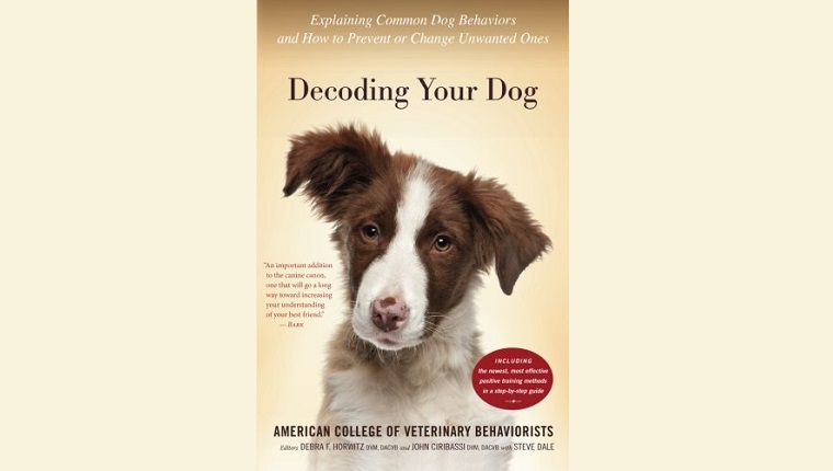 Decoding Your Dog: Explaining Common Dog Behaviors and How to Prevent or Change Unwanted Ones