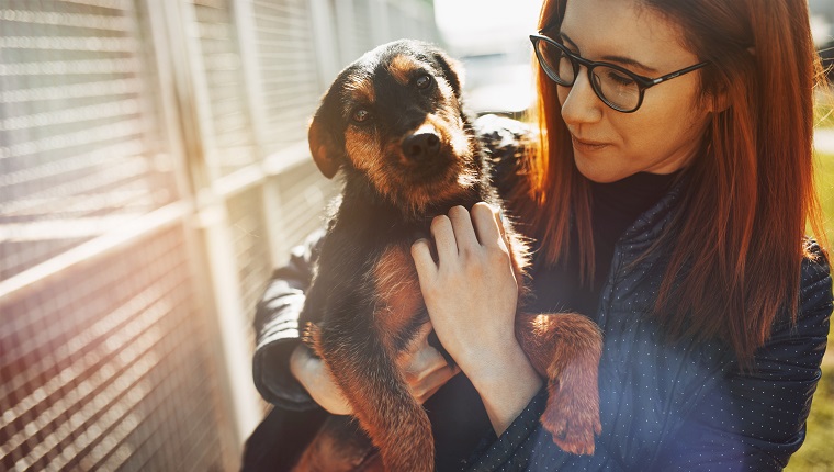 Young woman in dog shelter.