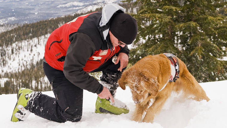 Ski Patroller working with dog