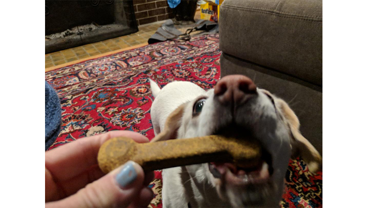 Sarah gets a treat