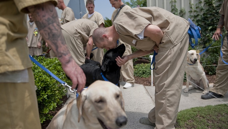 UNITED STATES - JUNE 30: Inmates prepare to head back to their cells after training the dogs for the day. Training the dogs is akin to a full time job for the men, with a fixed schedule and routine happening everyday. The men must care for, exercise and feed the dogs - giving them a sense of responsibility for living creatures, or as the many of them noted, "as if they were our kids."