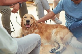 People petting dog in group therapy session