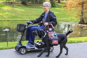 Recipient and her service dog stroll by a pond at the world famous Longwood Gardens in SE Pennsylvania, USA. Recipient has MS. Junius was trained by Canine Partners for Life in PA, and this team is going through 3 weeks of "Team Training" for newly matched recipients and service dogs.