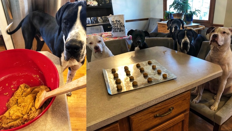 homemade dog treats