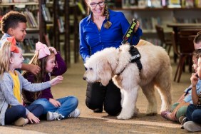 A multi-ethnic group of six boys and girls sitting on the floor of a library, meeting a reading assistance therapy dog, a goldendoodle who is trained to listen to children read. The dog handler is a mature woman in her 50s who is smiling and encouraging the children to interact with the dog. The girl 3rd from the left has down syndrome.