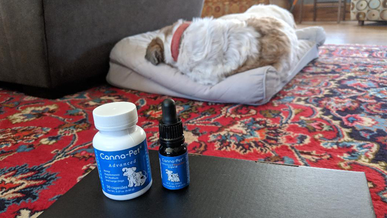 George sleeps near canna-pet products