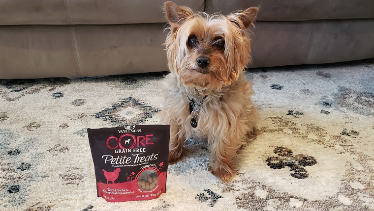 Macki sits next to Wellness Core Petite Treats