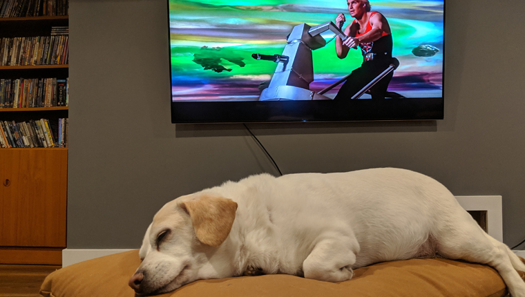 dog "watching" flash gordon