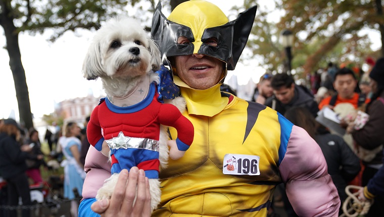 A dog and owner are seen in costume during the 28th Annual Tompkins Square Halloween Dog Parade at the East River Park Amphitheatre in New York on October 27, 2018. (Photo by TIMOTHY A. CLARY / AFP)