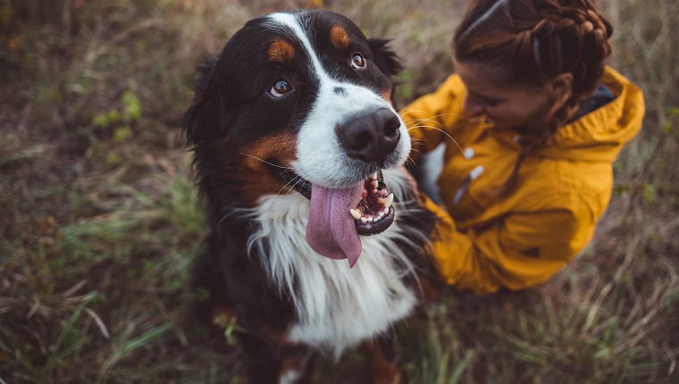 Young woman with dog