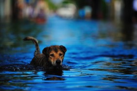 Bangkok Flood 2011