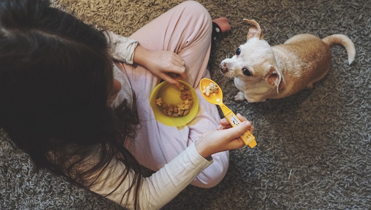 High Angle View Of Girl With Dog