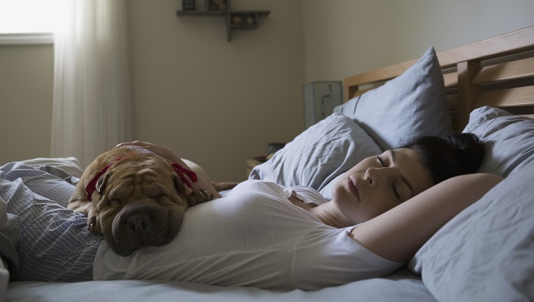 Woman and dog sleeping in bed