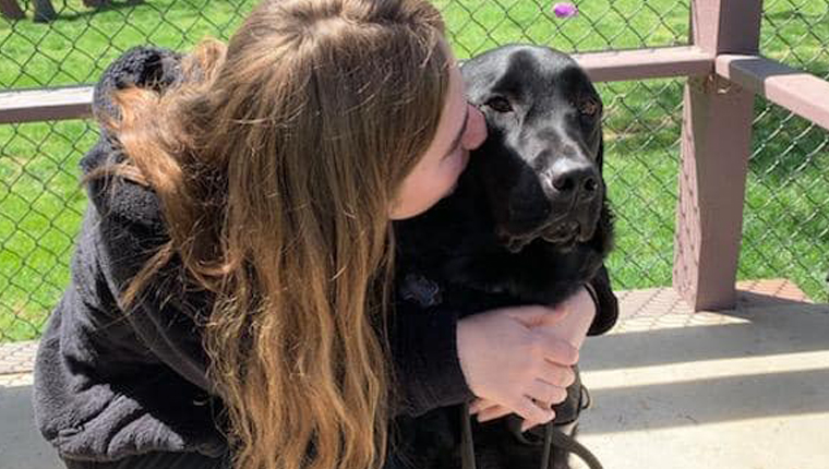 guide dog gets hug