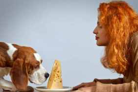 Dog Cheese 1