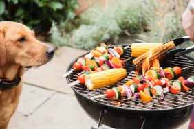 Dog Corn 1