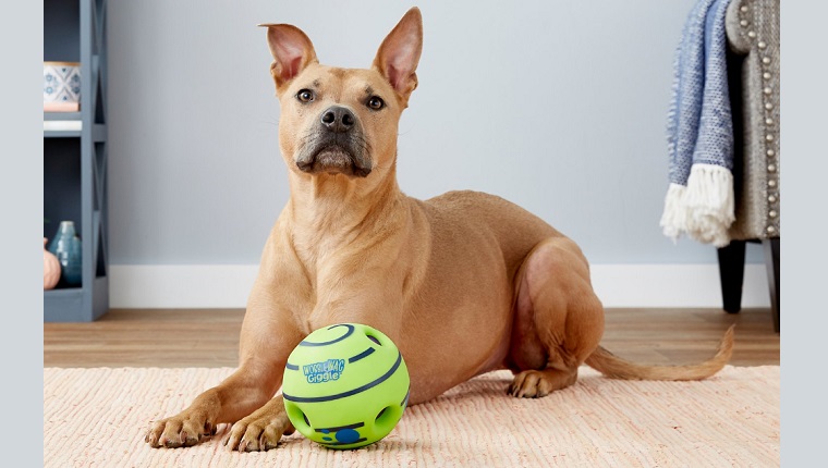 wobbly ball toy