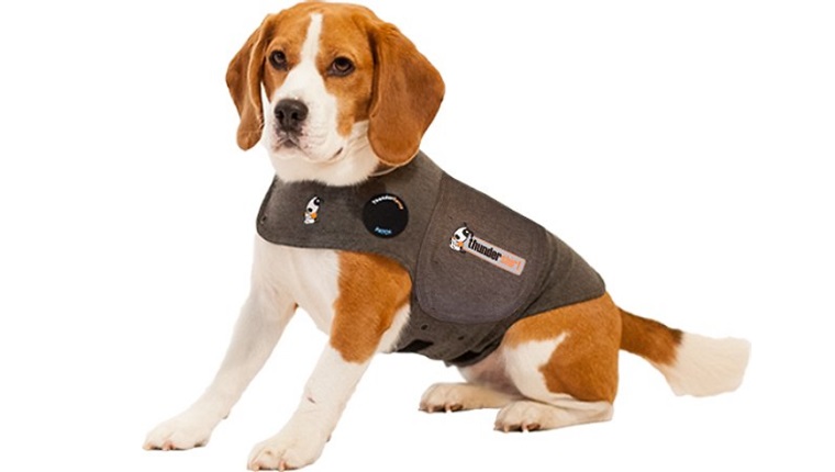 thundershirt