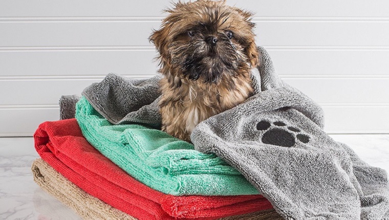 dog towel