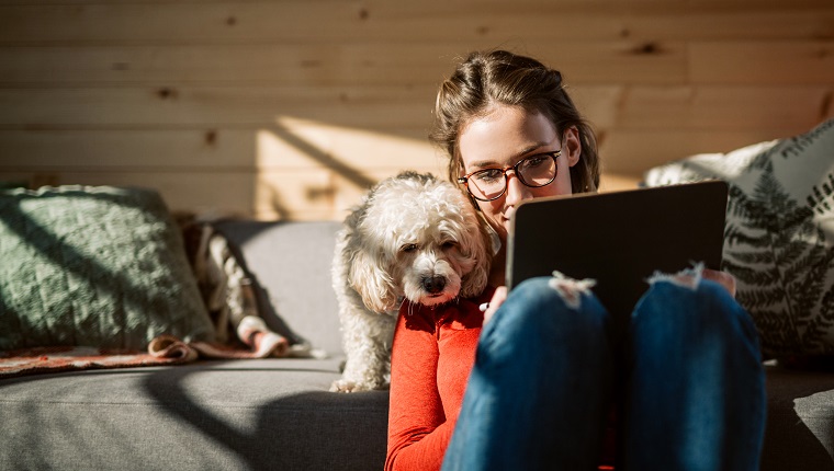 Female Artist Drawing At Home In Company Of Her Cute Poodle Dog