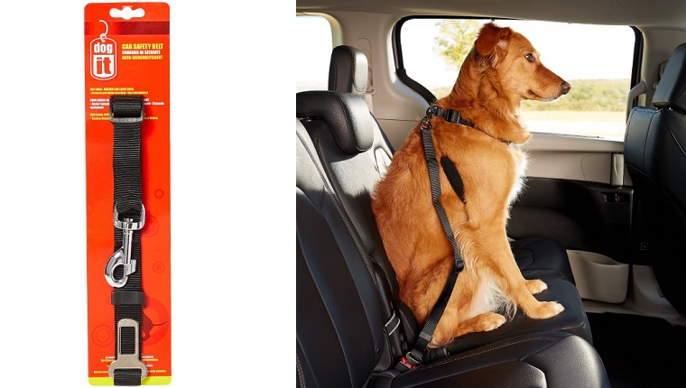 dog seat belt