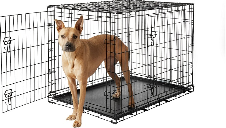 dog crate