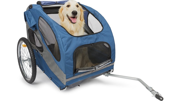 dog in a bike trailer