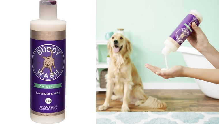 dog shampoo