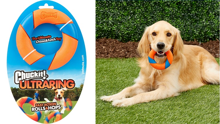 ring dog toy