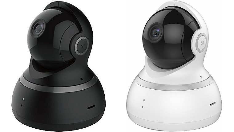 dome pet camera