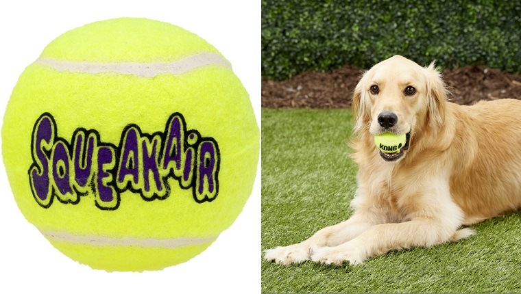 Squeakair Ball Dog Toy