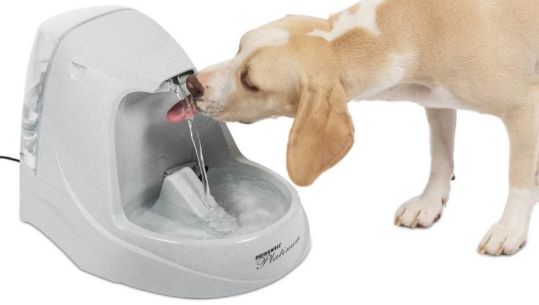 Drinkwell Platinum Pet Fountain